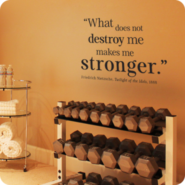 What Does Not Destroy Me Makes Me Stronger