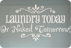Laundry Today or Naked Tomorrow! (Two Embellishments)
