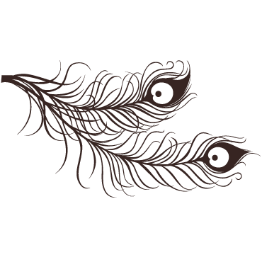Outlet: Two Peacock Feathers